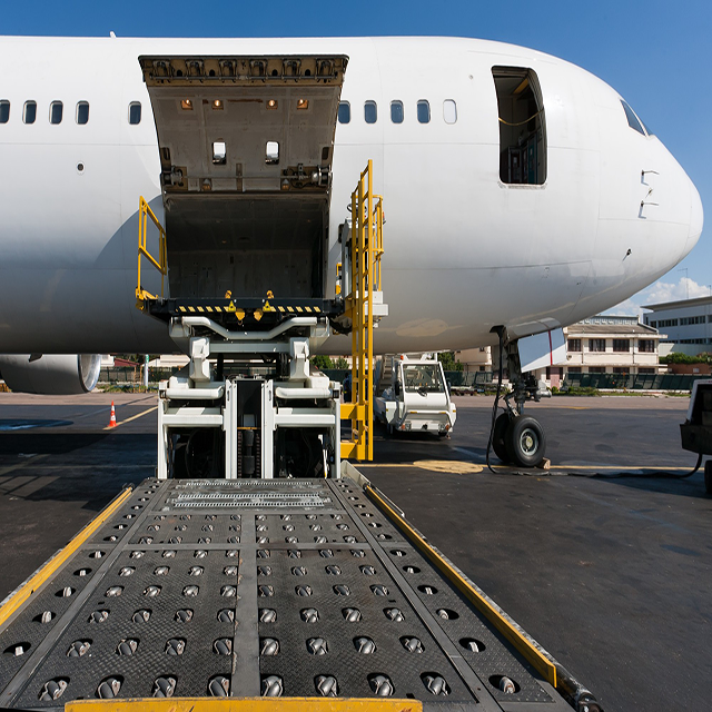 Frete aéreo de despachante aduaneiro de serviços especializados no Oriente Médio